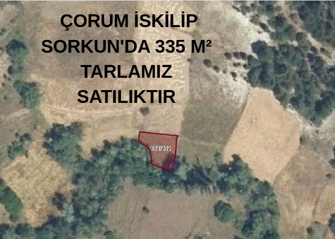     ÇORUM İSKİLİP SORKUN'DA 335 M² TARLAMIZ SATILIKTIR. - ÇORUM İSKİLİP fotoğraf 6